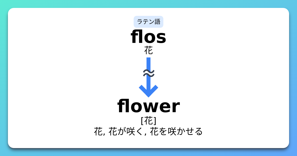Flower 語源 コアイメージ 覚え方 イメージ英単語