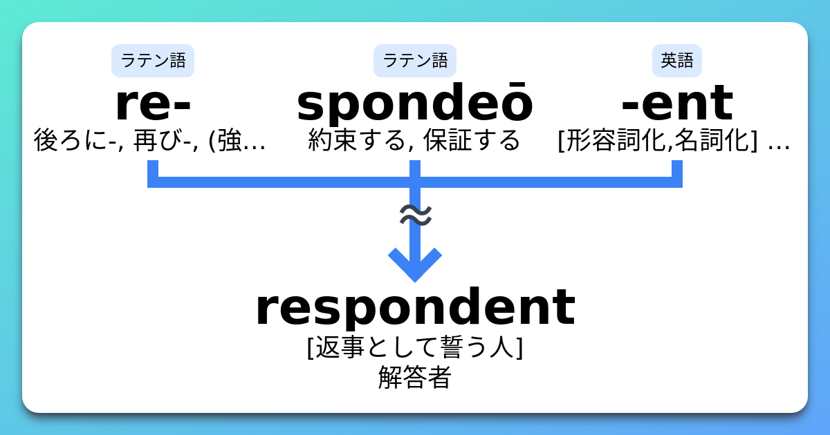 Respondent 語源とコアイメージと覚え方 意味 上位語 下位語 イメージ英単語